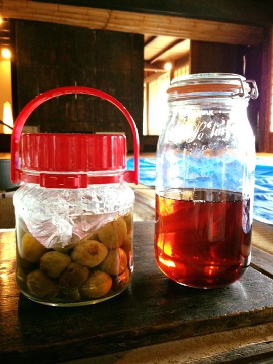 写真 2016-06-02 12 37 20