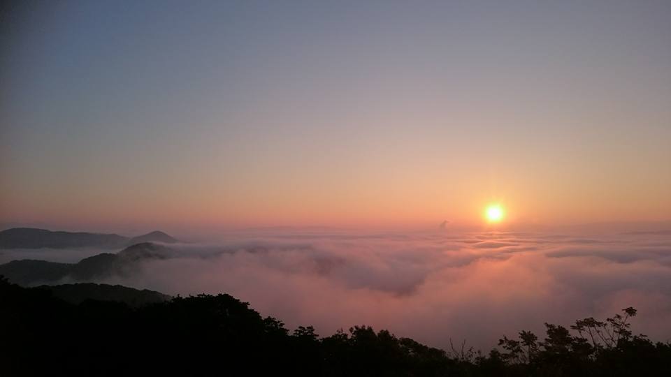 944374_565238770291908_7711663949185789003_n