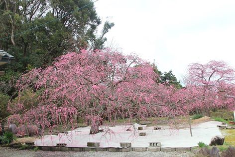 12112294_1053080871466535_3315175110257855241_n