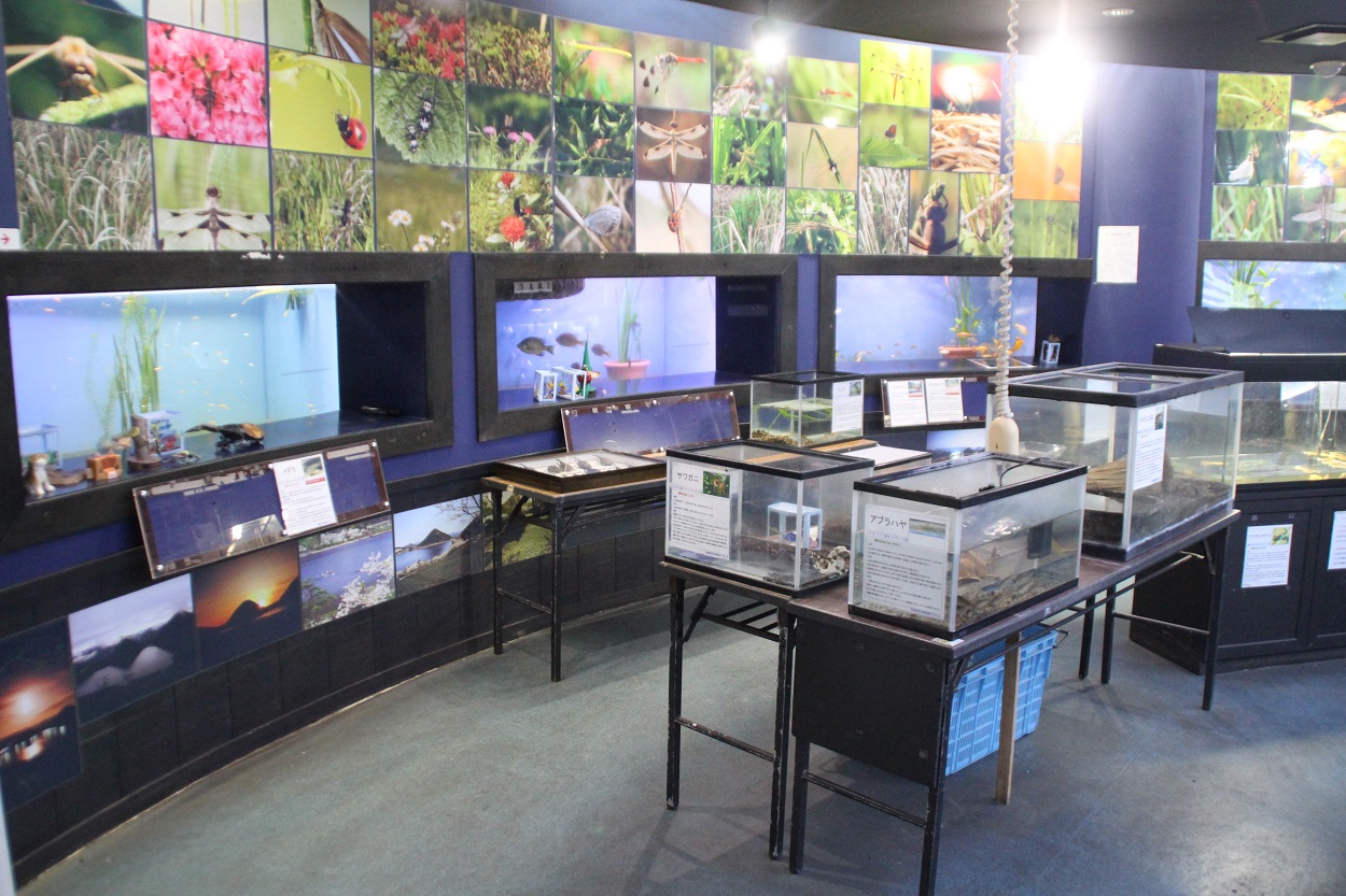 祁答院生態系保存資料施設(アクアイム)