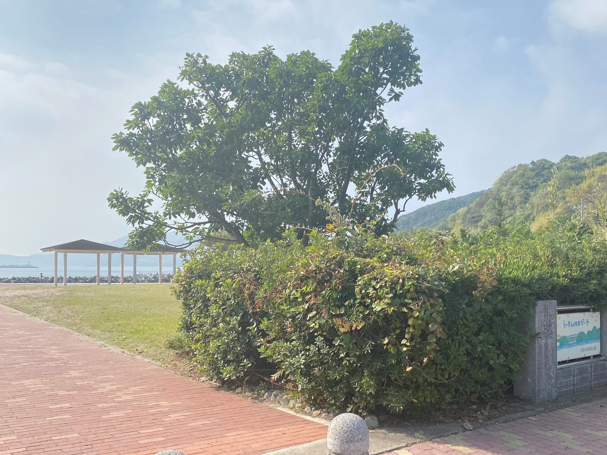 太田の浜 海浜公園