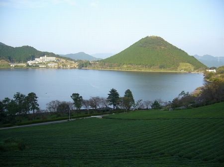 いむた滝の山森林浴の森