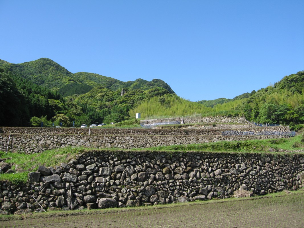 内之尾の棚田