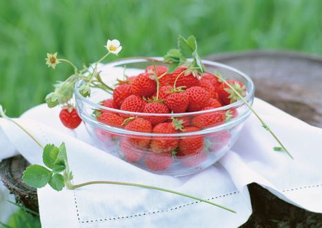 北之迫農園(観光いちご園)