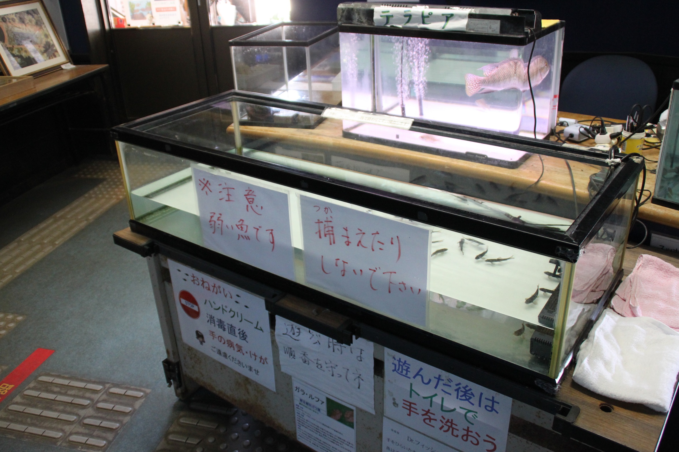 祁答院生態系保存資料施設(アクアイム)