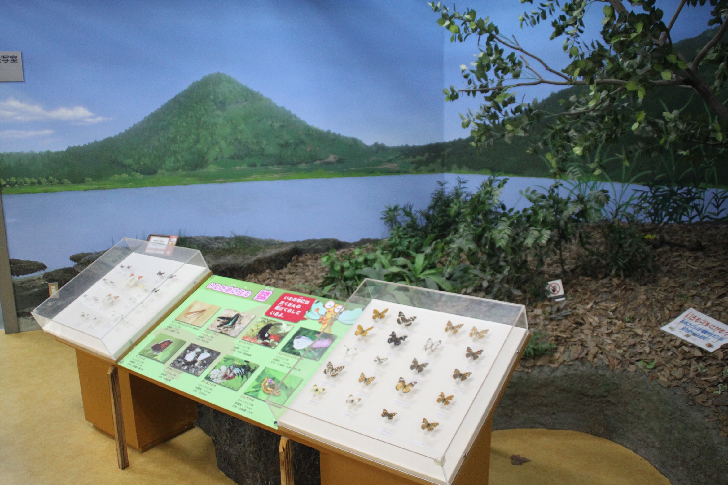 祁答院生態系保存資料施設(アクアイム)