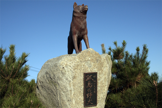 孤島の野犬像