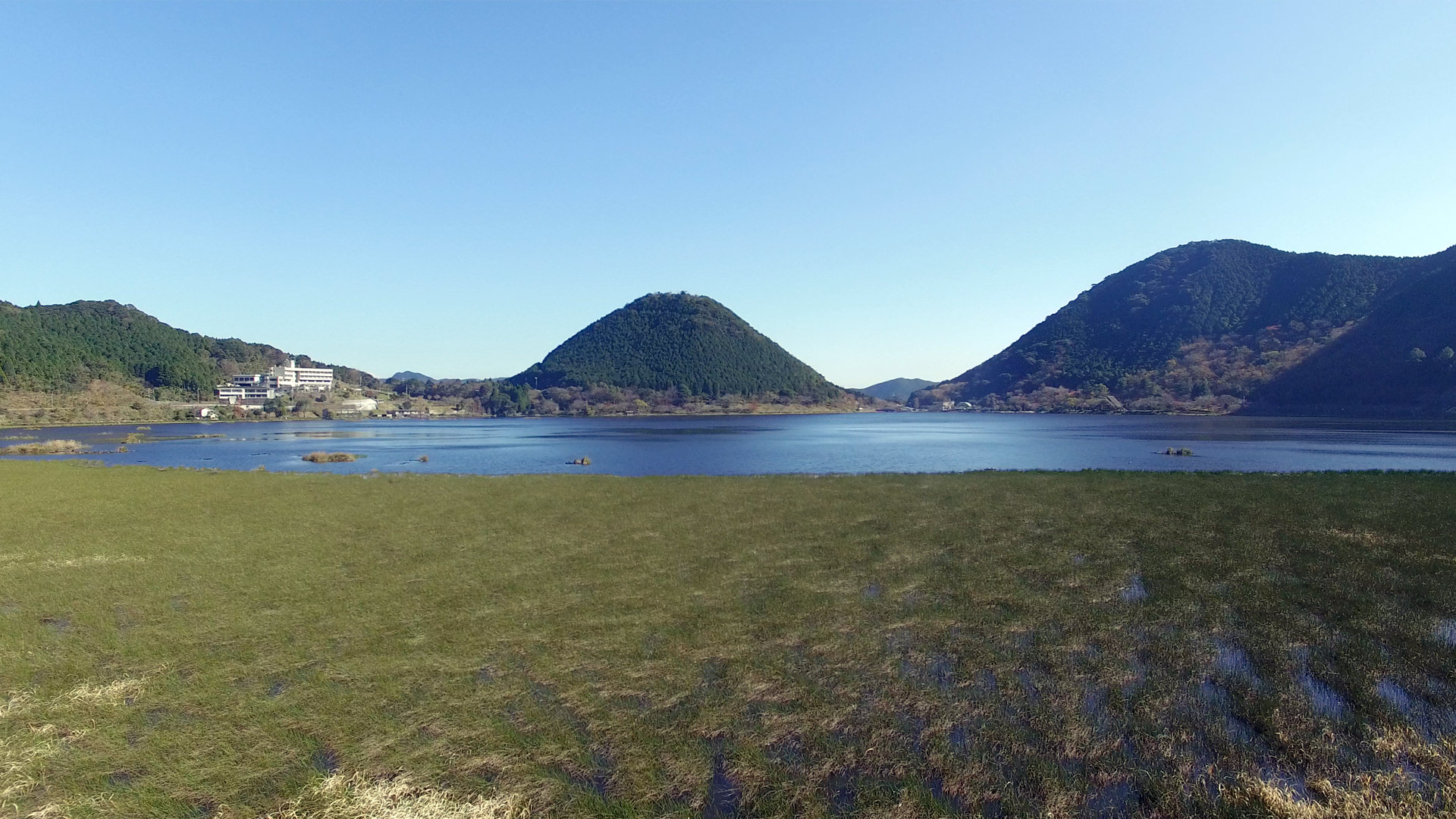 藺牟田池の泥炭形成植物群落