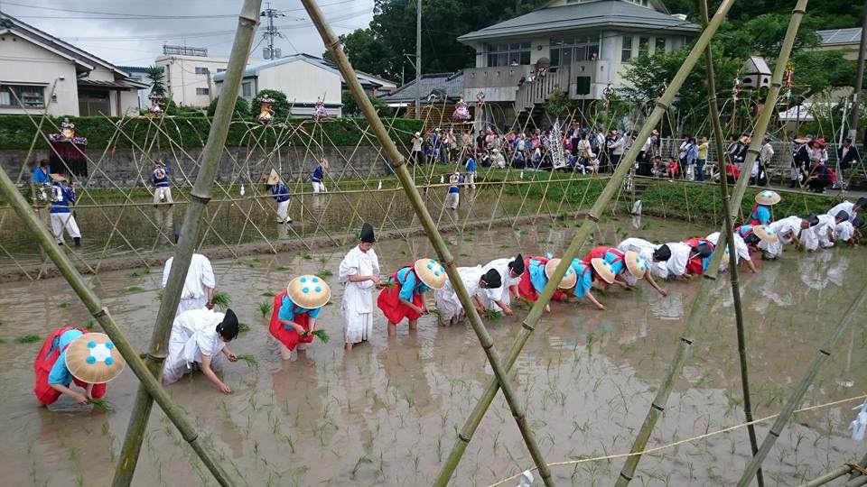 御田植祭