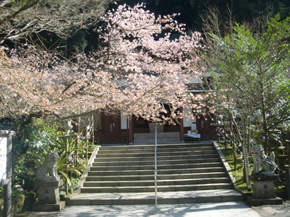 藤川天神 神殿前