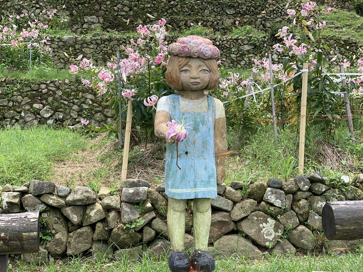 かのこゆりの段々畑