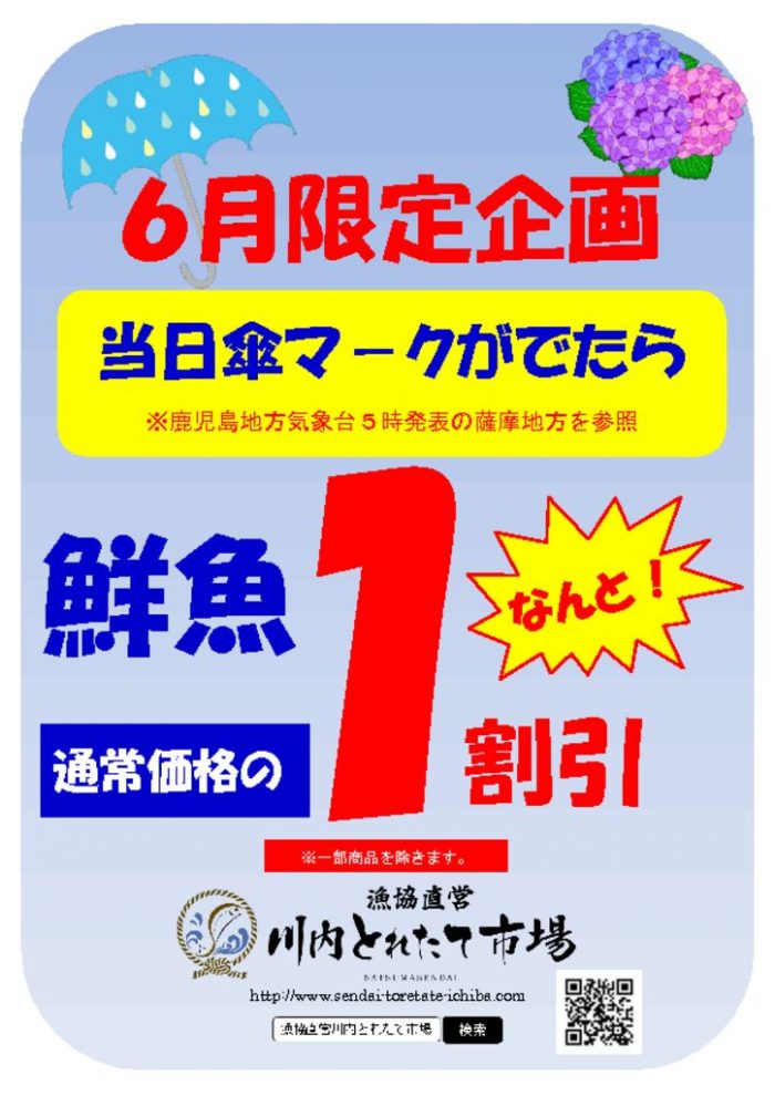 6月限定企画チラシのサムネイル