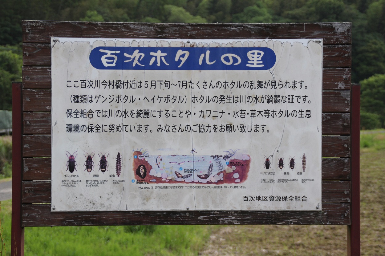 百次ホタルの里