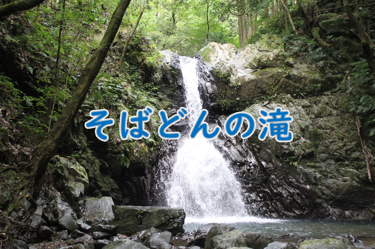 滝 2025年 スヴァルティフォスの滝 - 出発前に知っておくべきことすべて