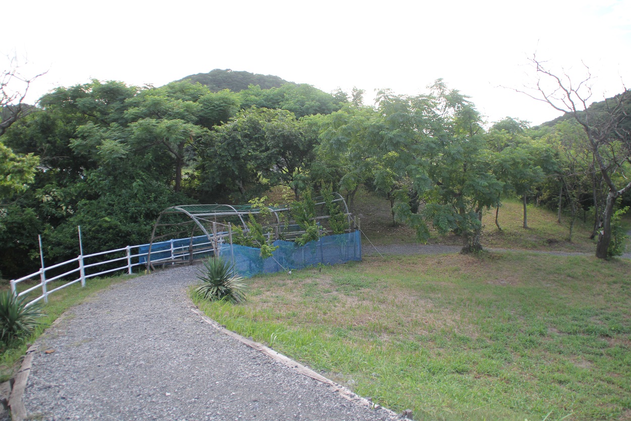 プライベートビーチのある駅「薩摩高城駅」