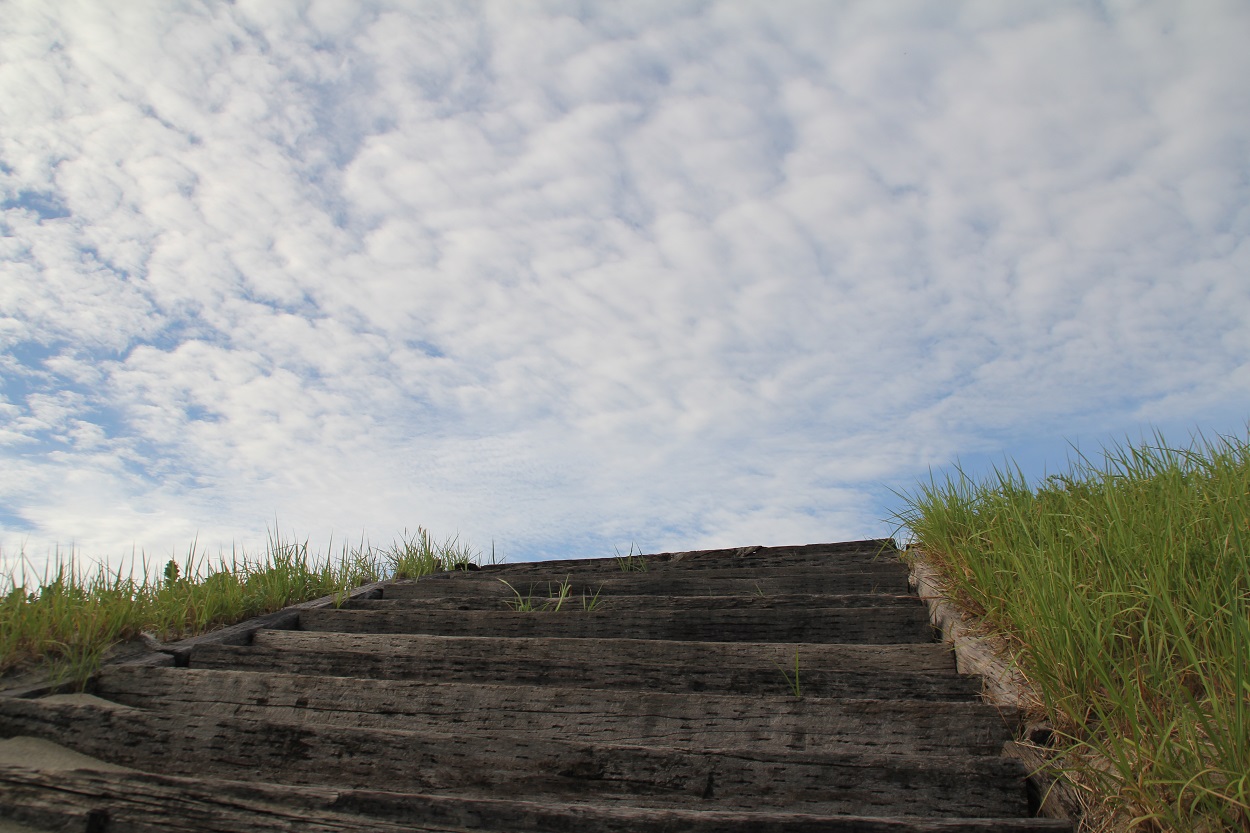 プライベートビーチのある駅「薩摩高城駅」