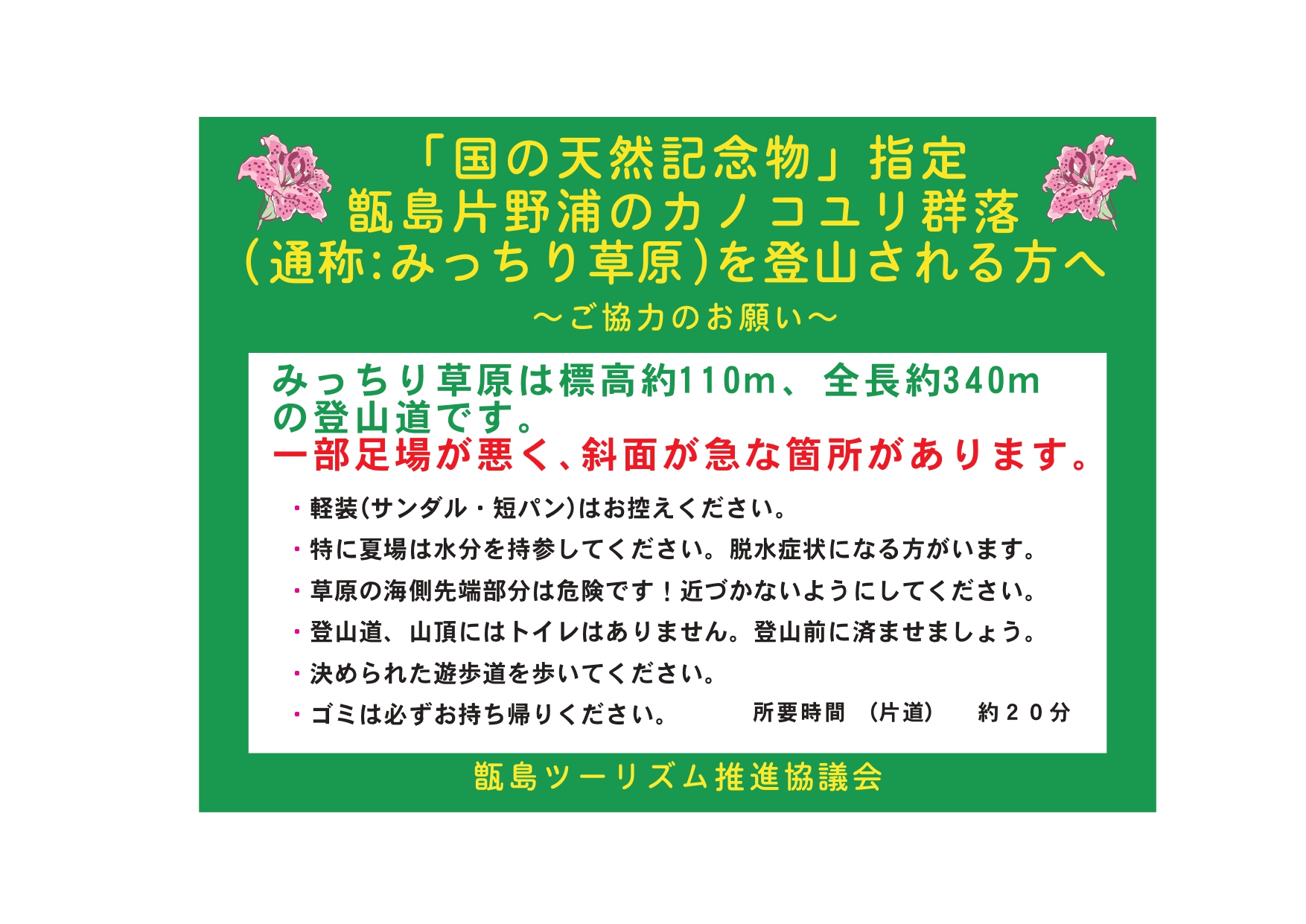 甑島片野浦のカノコユリ群落（通称：みっちり草原）