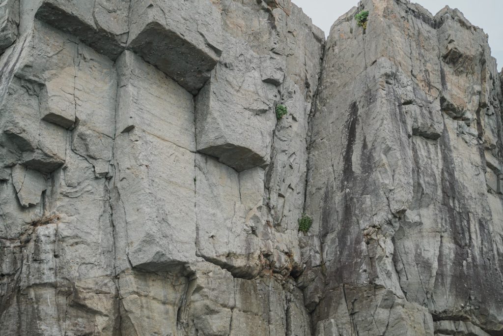 観光船かのこから見える風景