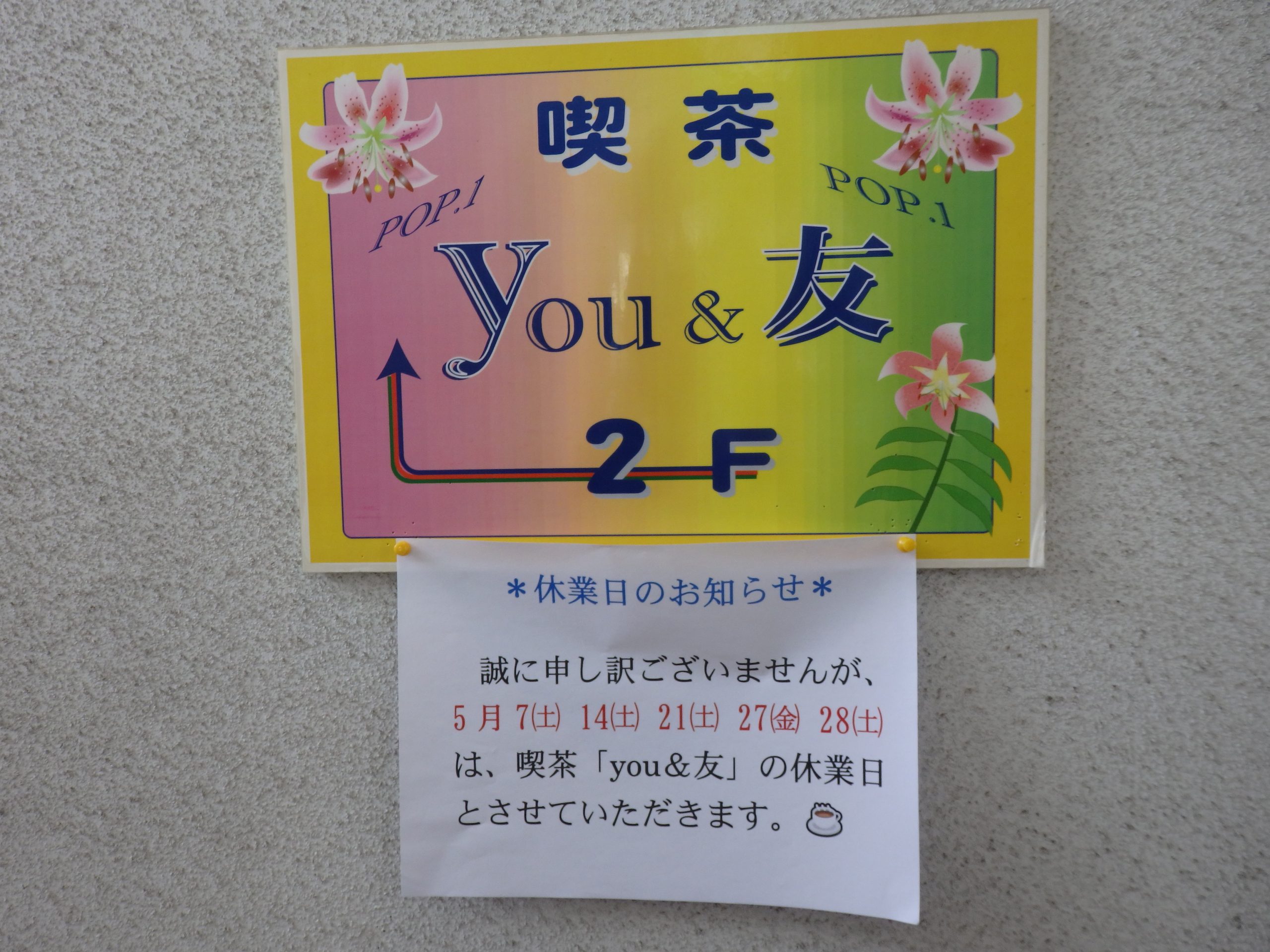 ゆーゆうのあおさラーメン