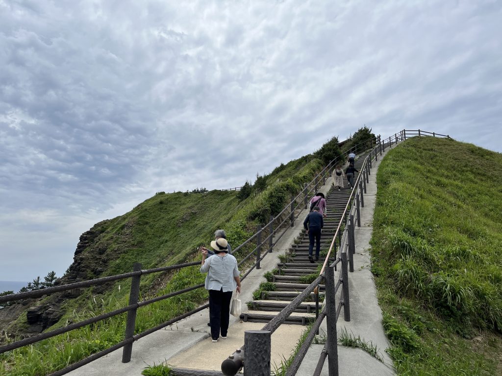 夜萩円山公園の階段