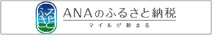 薩摩川内市ANAのふるさと納税