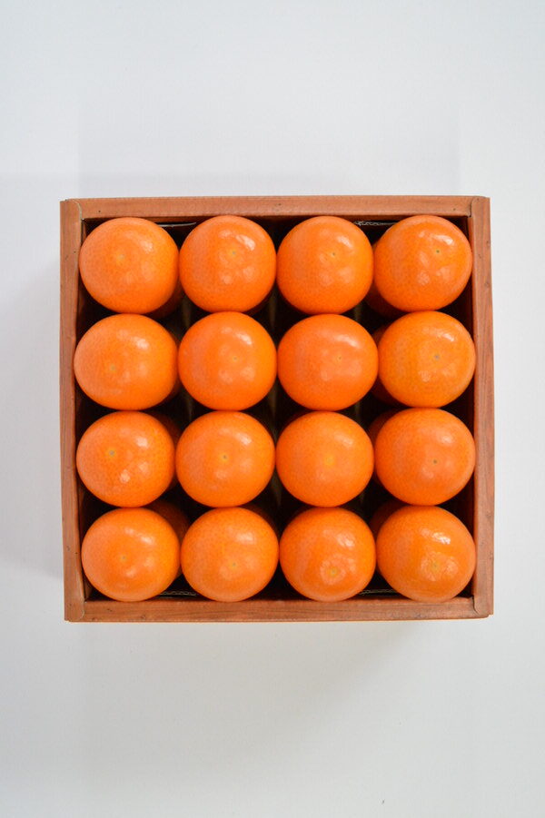 キンカン「いりき」