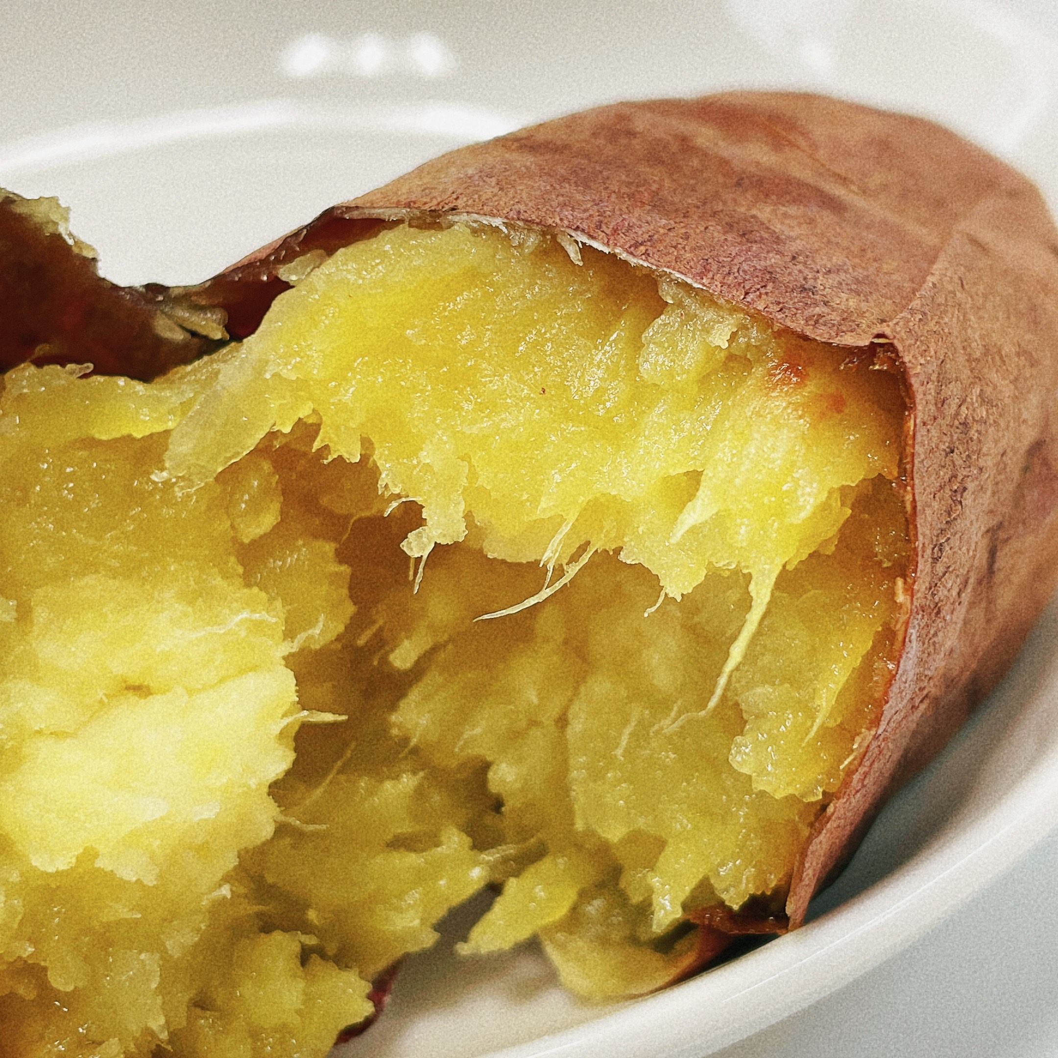 げそ太郎の一期一笑 #13