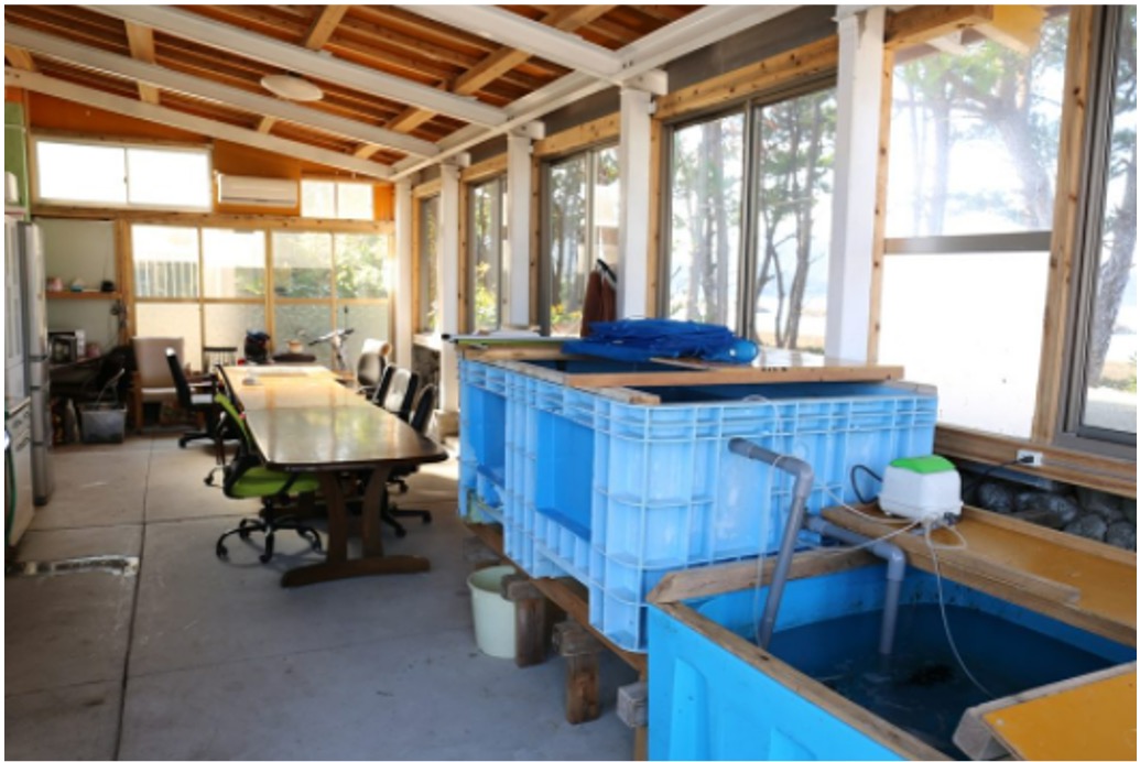 釣り民泊　西ノ浜