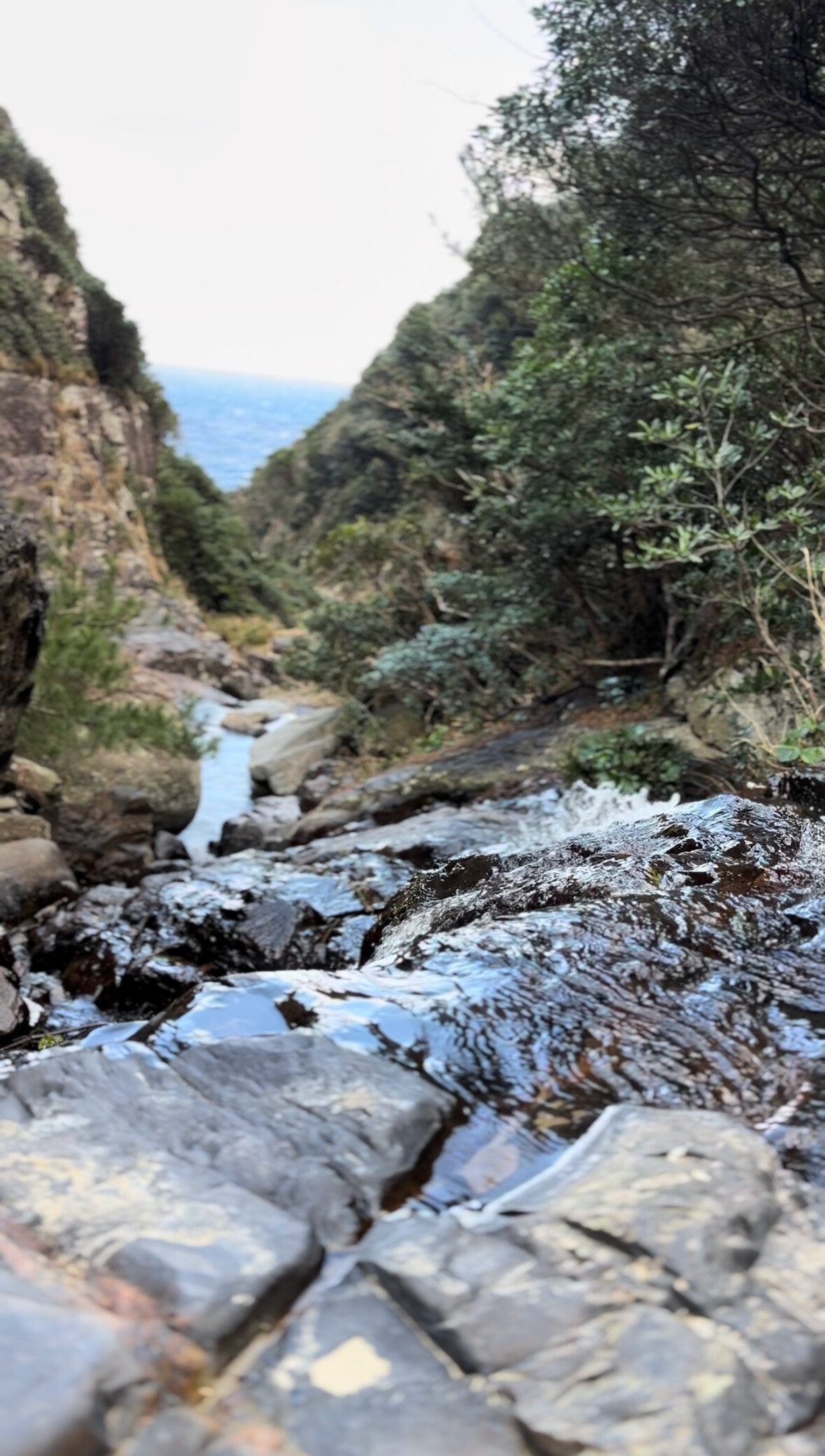 内川内の滝02