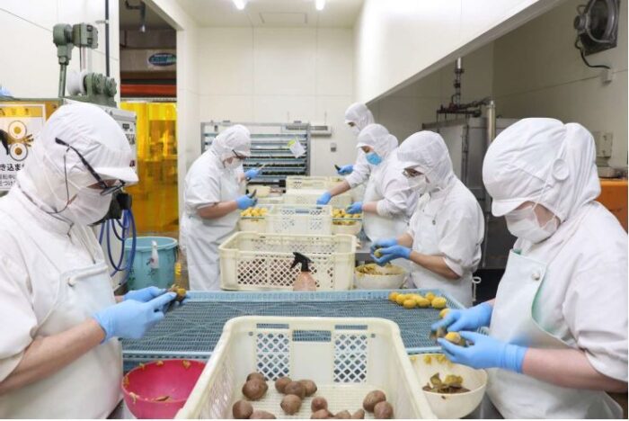 アトスフーズでのバディフード調理製造～配送準備の様子