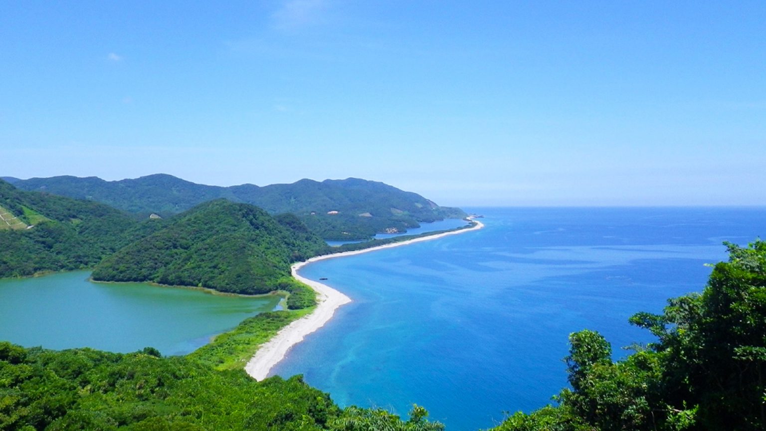 甑島日帰りスタンダードコース