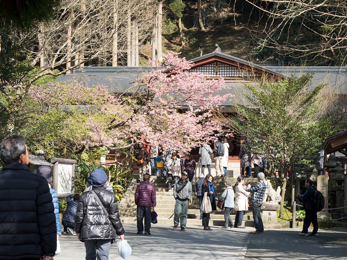 藤川天神(ふじかわてんじん)
