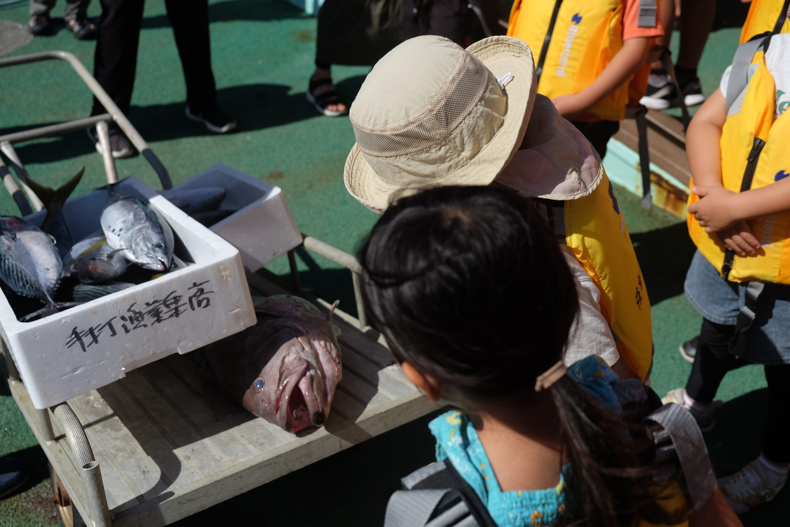 募集締切】海辺の学校inこしき2026 | 薩摩川内観光物産ガイド こころ