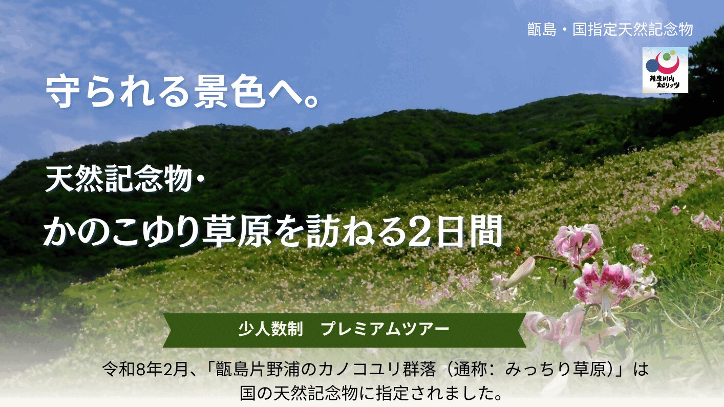 薩摩川内観光物産ガイド こころ｜鹿児島県薩摩川内市の観光・イベント
