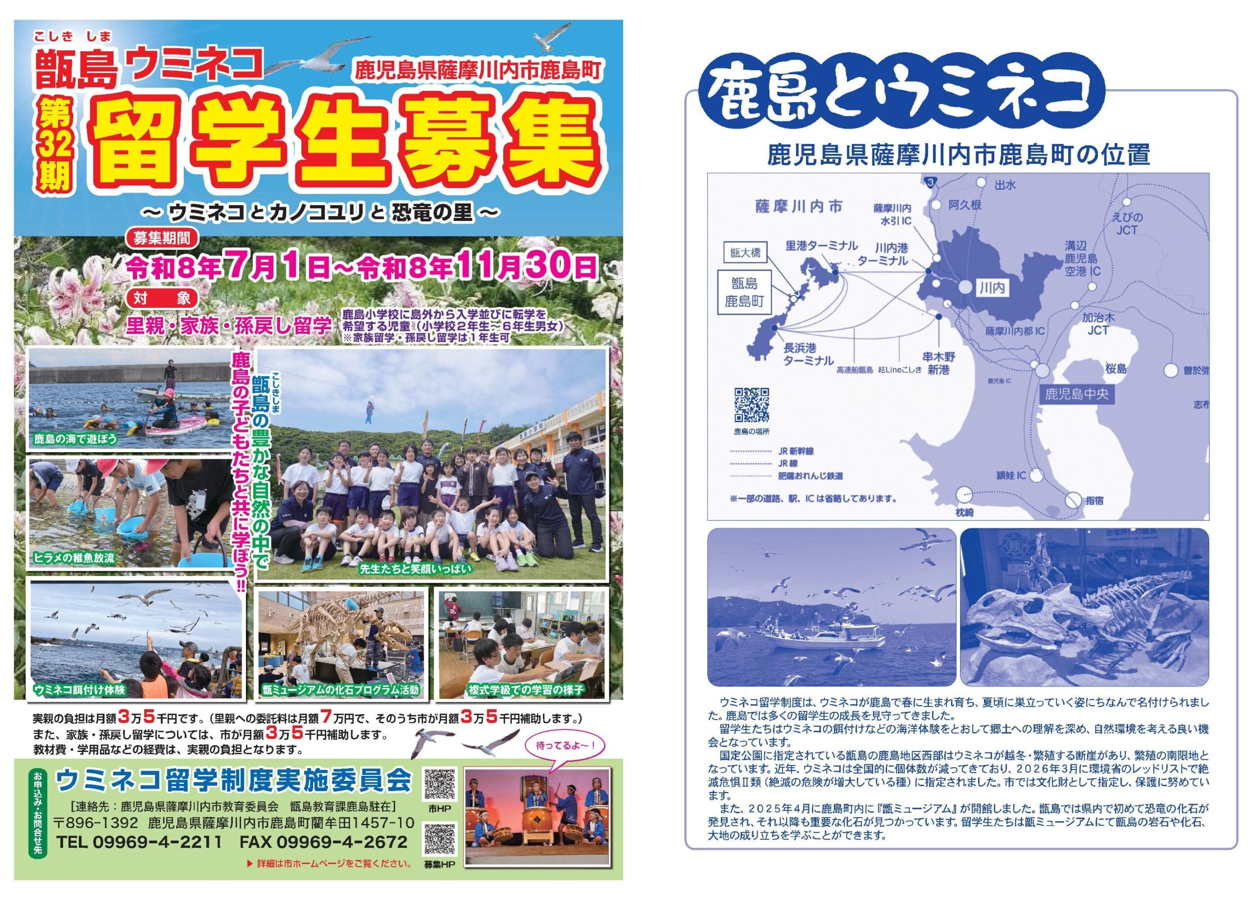 令和9年度甑島の「ウミネコ留学生」を募集します! | 薩摩川内観光物産